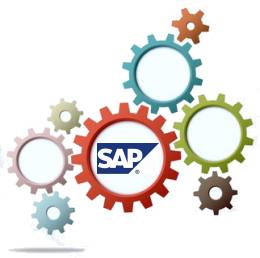 Die perfekte Softwarelsung: Unsere SAP Tools fr die Supply Chain